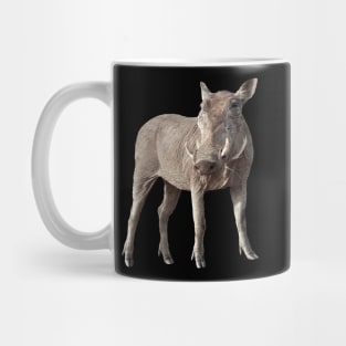 Warthog on Safari in Kenya / Africa Mug